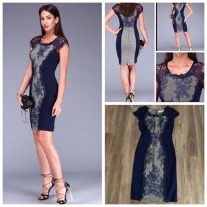 Rinascimento Lace Midi Bodycon Dress